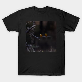 Little Bee-eater, Serengeti, Tanzania T-Shirt